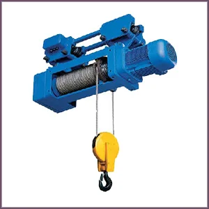 Electric Wire Rope Hoists
